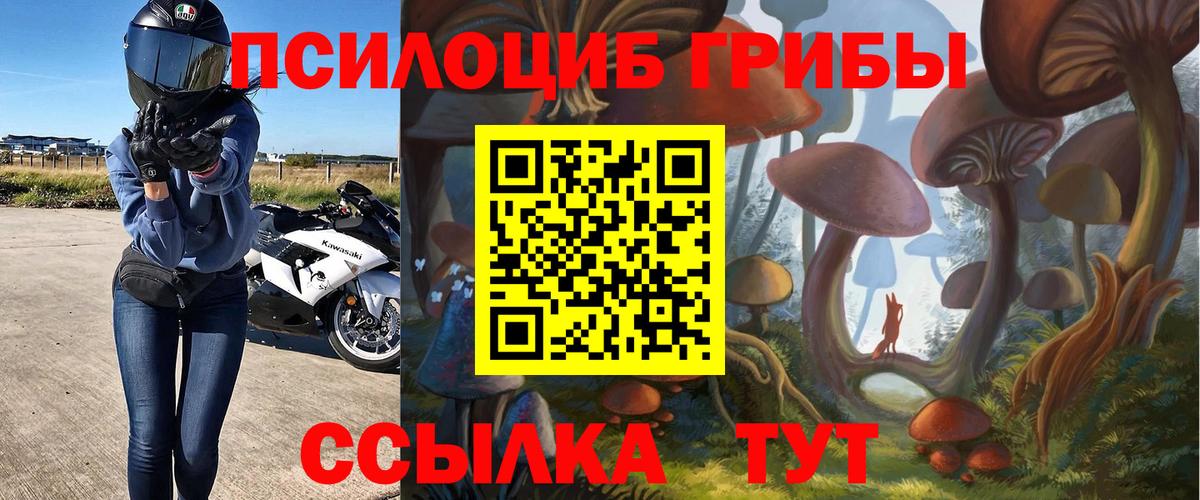 Псилоцибиновые грибы мухоморы  Псилоцибиновые грибы Psilocybe  Ангарск 