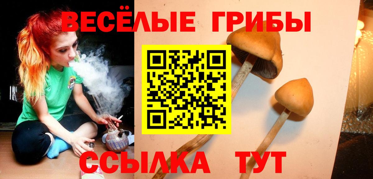МЕФ Ангарск