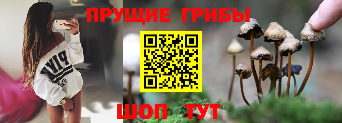 Галлюциногенные грибы Psilocybine cubensis  Вход с VPN  Ангарск 