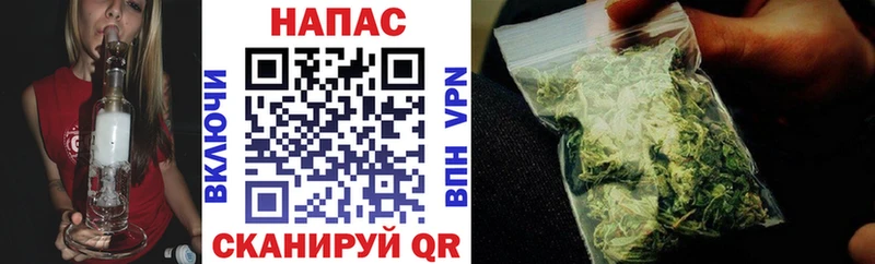 Бошки Шишки планчик Ангарск